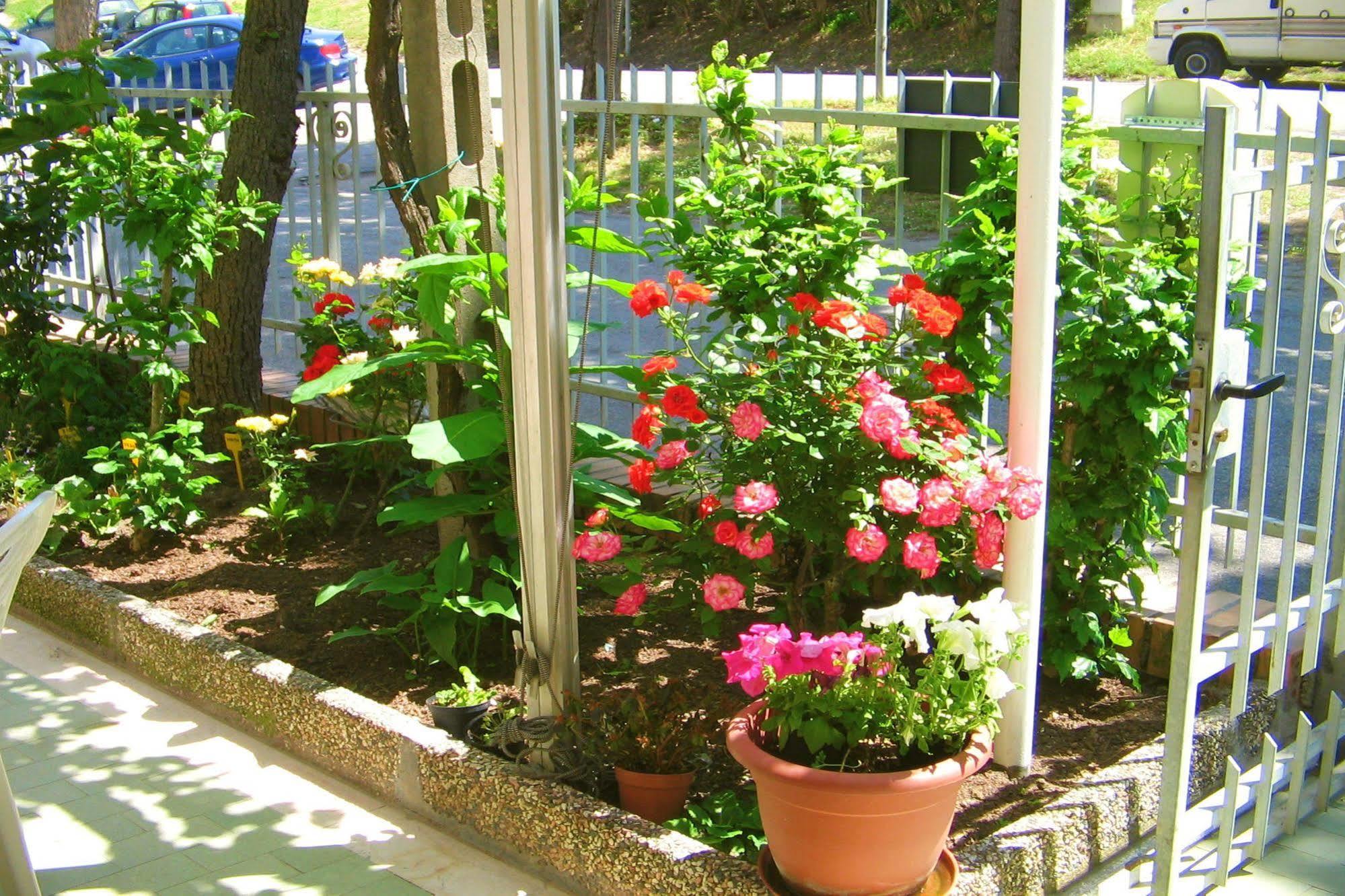 Villa Lauda B&B Rimini Exteriör bild